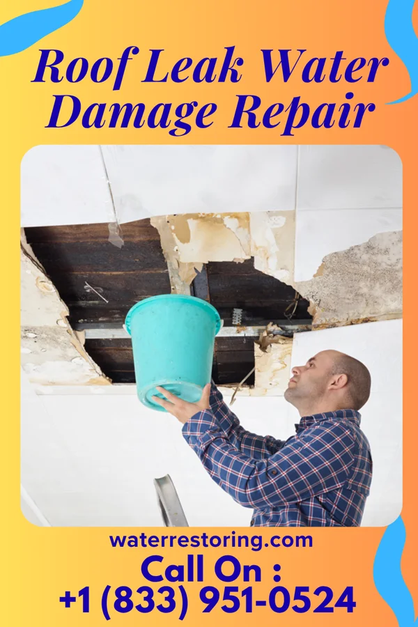Roof Leak Water Damage Repair in Shenandoah, IA